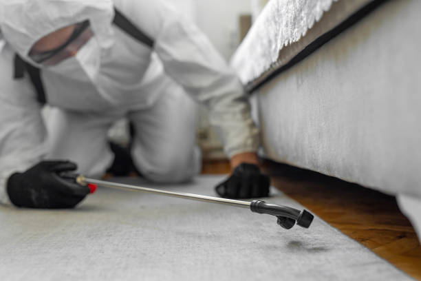 Professional Termite Control technician working in Gleneagle, CO